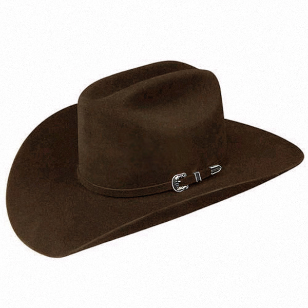 Chapeau Cowboy Feutre Fourrure Skyline STETSON